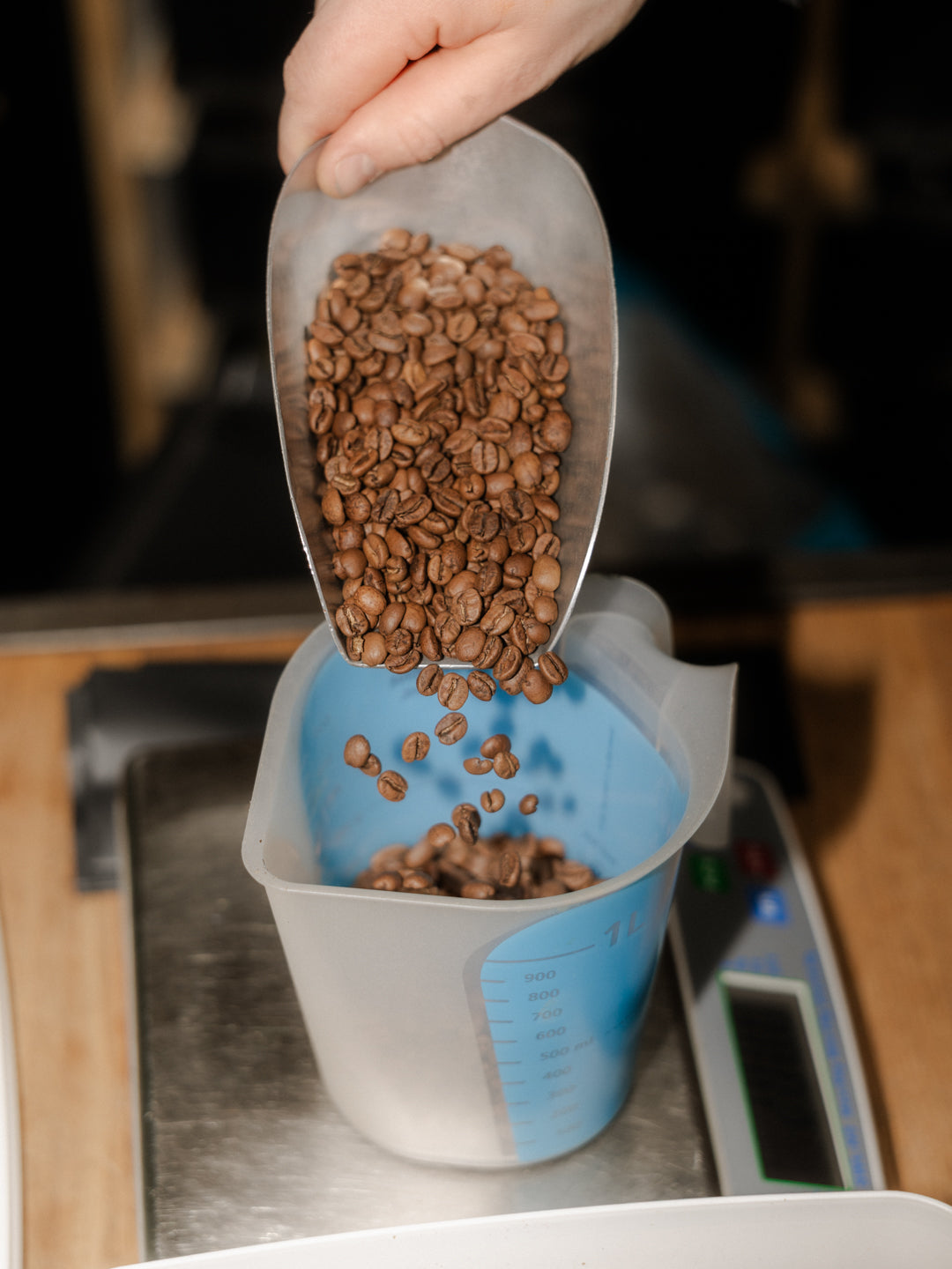 Coffee