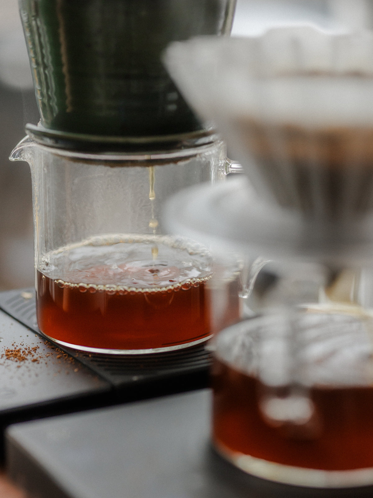 Workshops at Bitterzoet Coffee Roasters