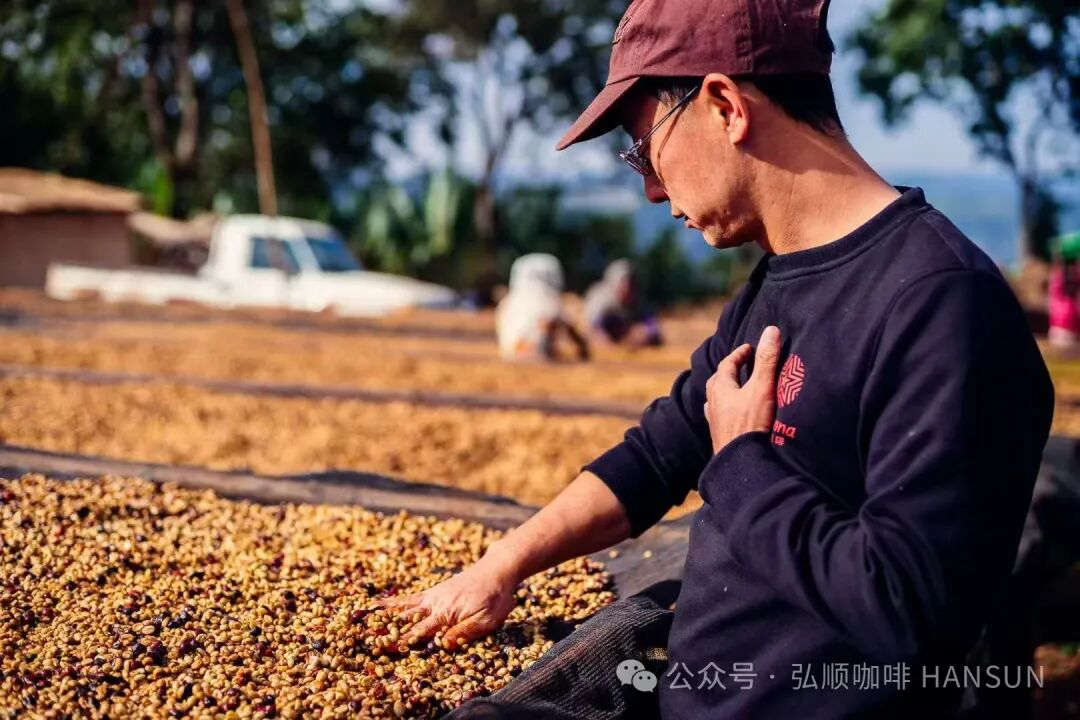 Ethiopia - Buku Abel 'China Beauty'