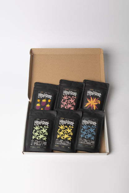 Filter Bundle 6x 70 gram