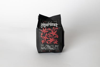 Ethiopia - Buku Abel 'China Beauty'