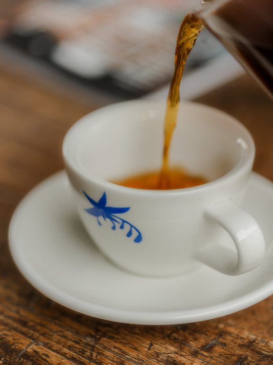 Workshop filter coffee at Thrive Coffee House