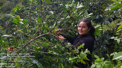 Colombia Buena Vista - Bourbon Aruzi