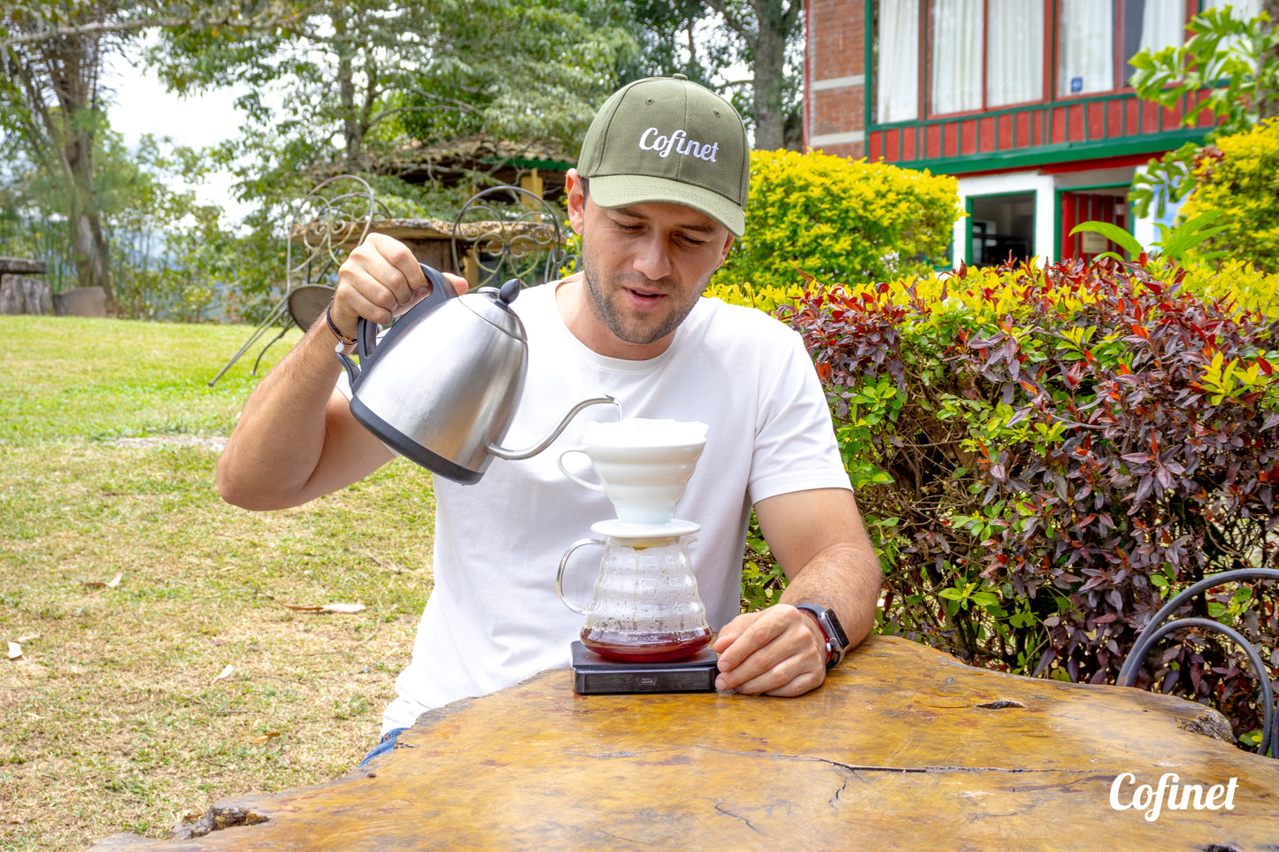 Colombia El Ocaso - Caturron