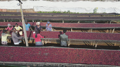 Ethiopia - Halo Beriti
